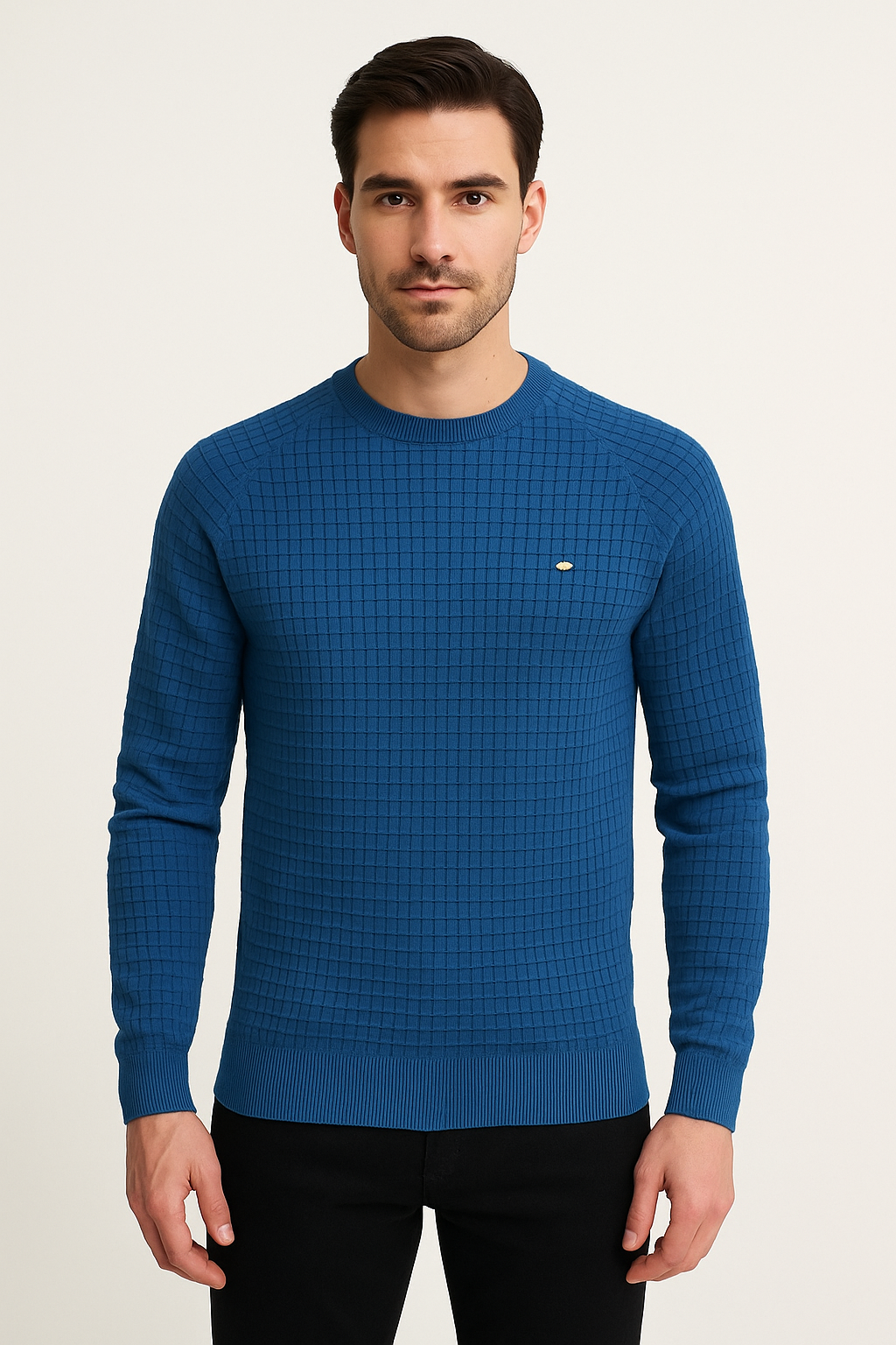 Erik | Herren Slim Fit Casual Strickpullover - Elle Zürich