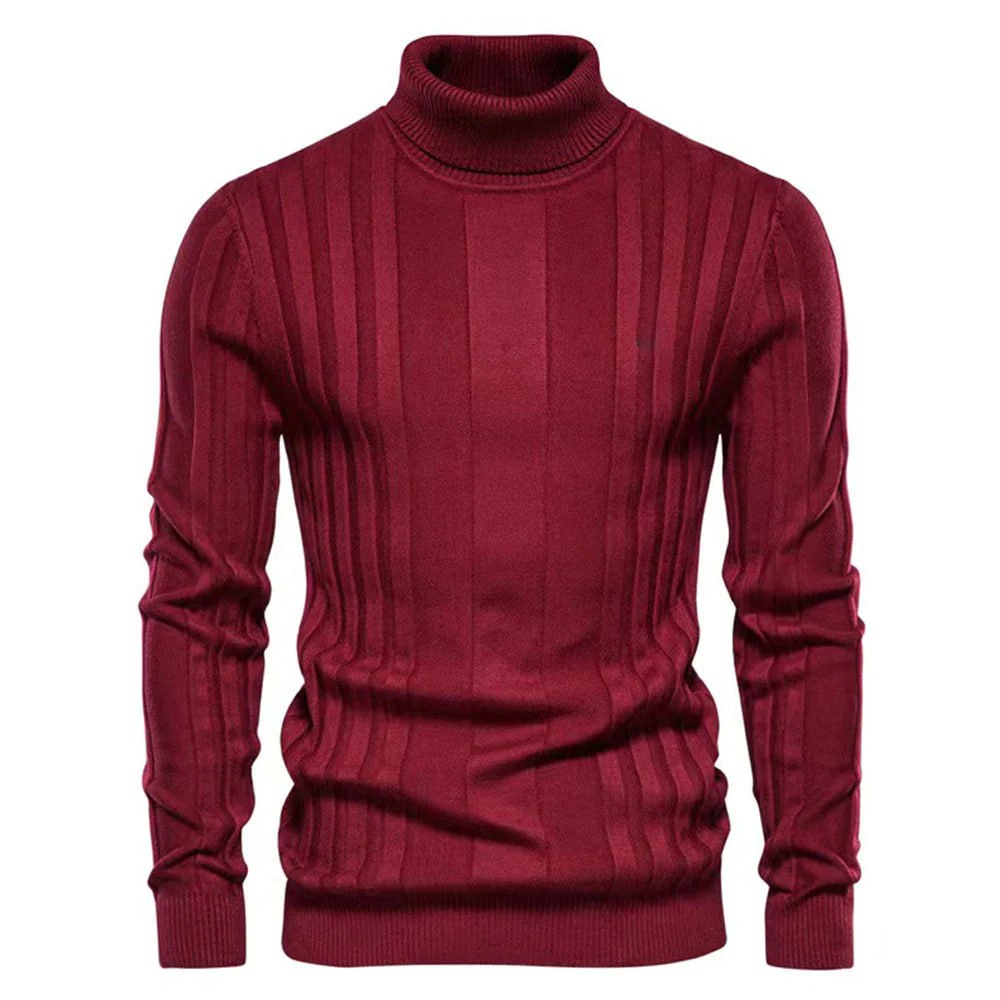 Alexander | Herren Rippstrick Rollkragenpullover mit Slim Fit - Elle Zürich