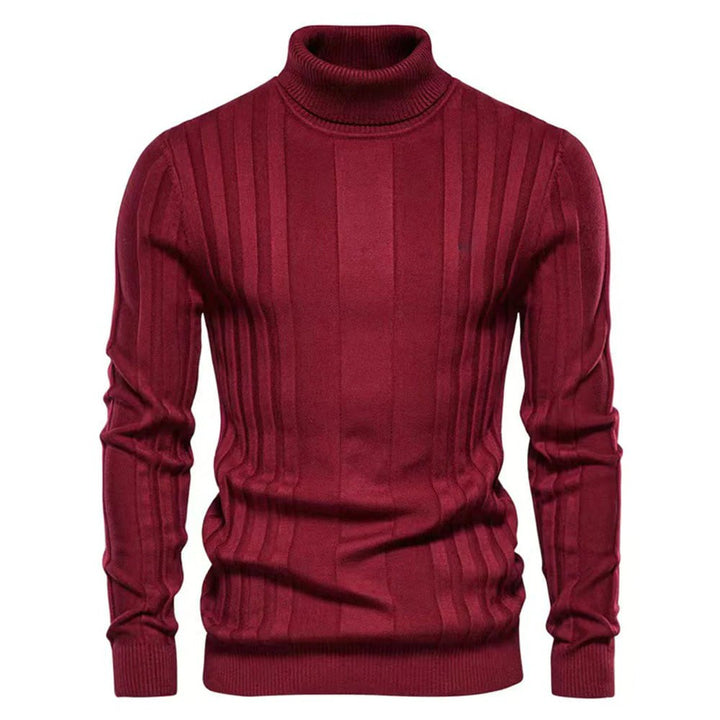 Alexander | Herren Rippstrick Rollkragenpullover mit Slim Fit - Elle Zürich